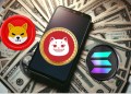 SHIB Struggles for Momentum, While SOL Still Eyes a $300 Explosion—Meanwhile, Whales Flock to This New Coin